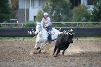 MossValeCampdraft2013_1232