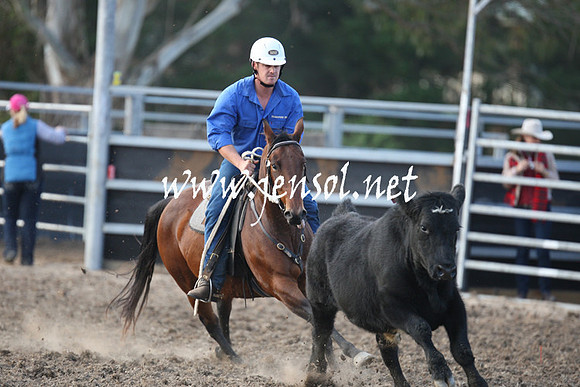 MossValeCampdraft2013_1230