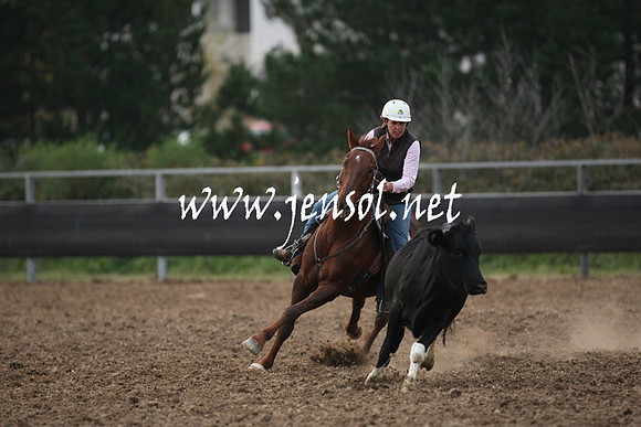 MossValeCampdraft2013_1388