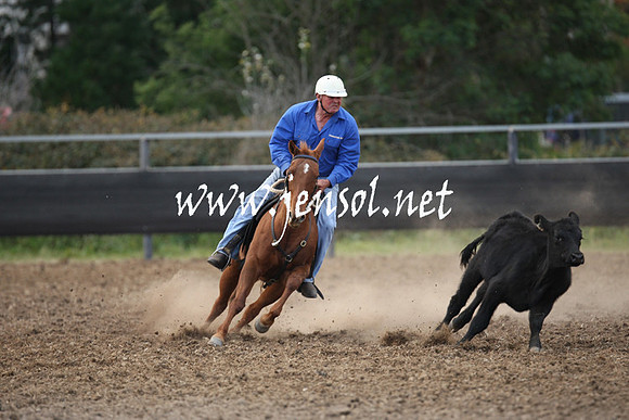 MossValeCampdraft2013_1287