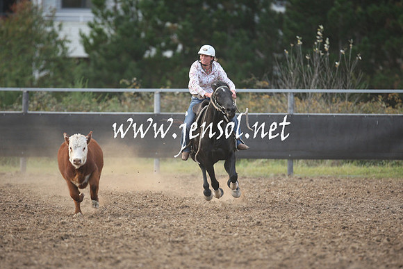 MossValeCampdraft2013_1283