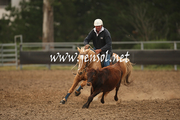 MossValeCampdraft2013_1488