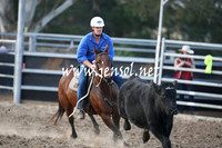 MossValeCampdraft2013_1231