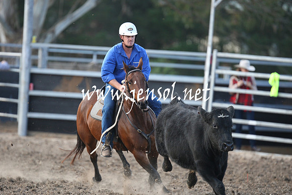 MossValeCampdraft2013_1231