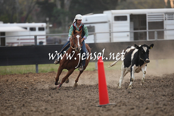 MossValeCampdraft2013_1378