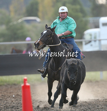 MossValeCampdraft2013_1251