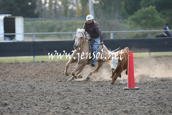 MossValeCampdraft2013_1240