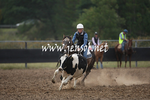 MossValeCampdraft2013_1379
