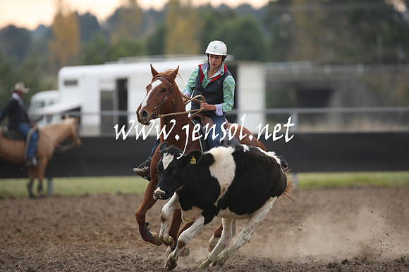 MossValeCampdraft2013_1369