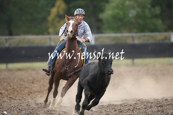 MossValeCampdraft2013_1293
