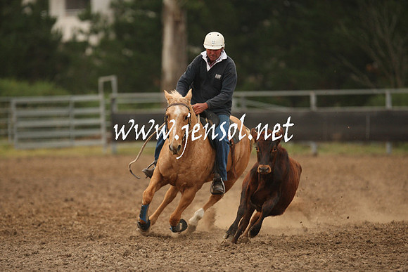MossValeCampdraft2013_1490