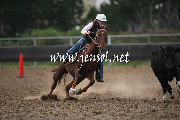 MossValeCampdraft2013_1392