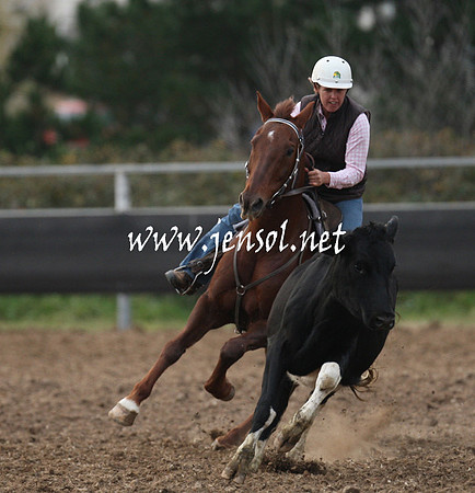 MossValeCampdraft2013_1384