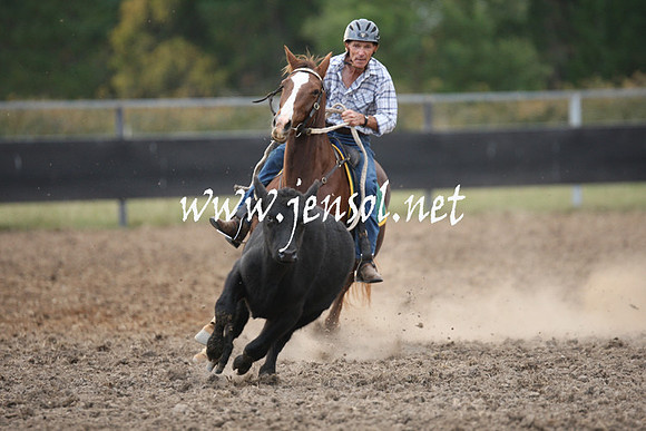 MossValeCampdraft2013_1288