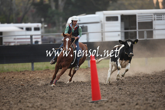 MossValeCampdraft2013_1377
