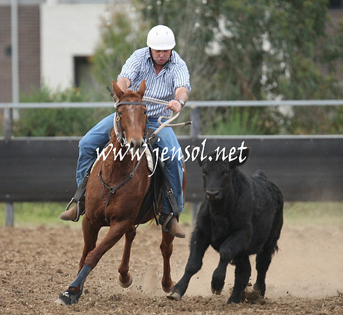 MossValeCampdraft2013_1297