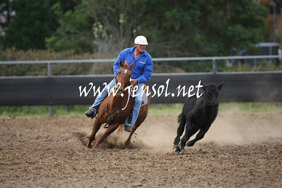 MossValeCampdraft2013_1286