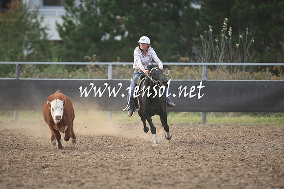 MossValeCampdraft2013_1282