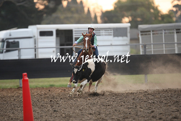 MossValeCampdraft2013_1375