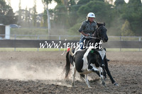 MossValeCampdraft2013_1229