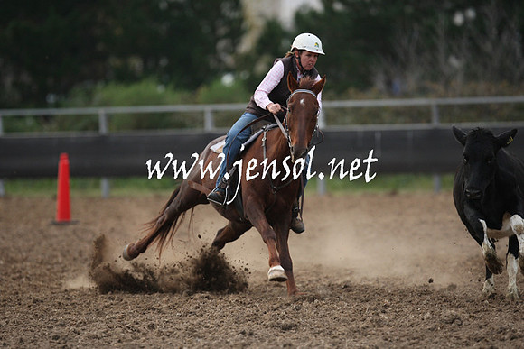 MossValeCampdraft2013_1393