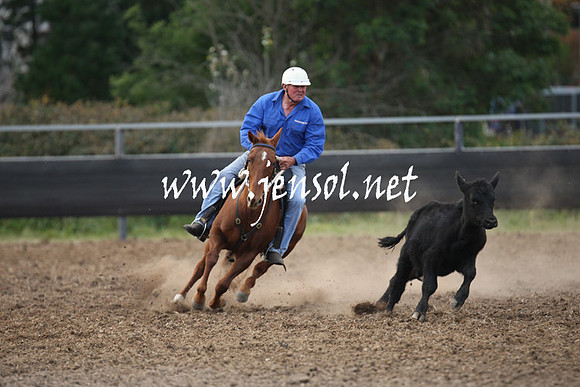 MossValeCampdraft2013_1285