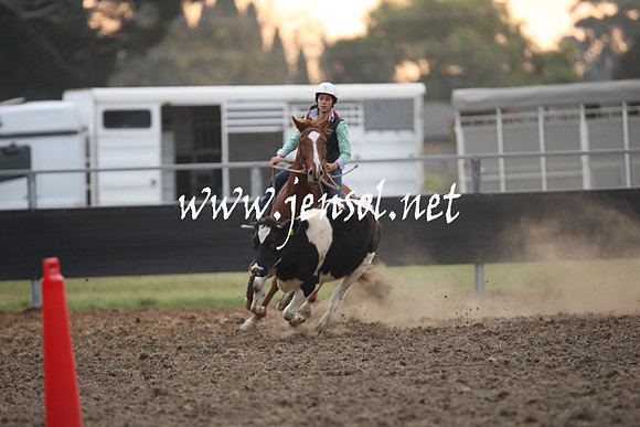 MossValeCampdraft2013_1374
