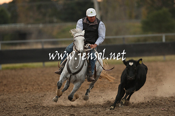 MossValeCampdraft2013_1537