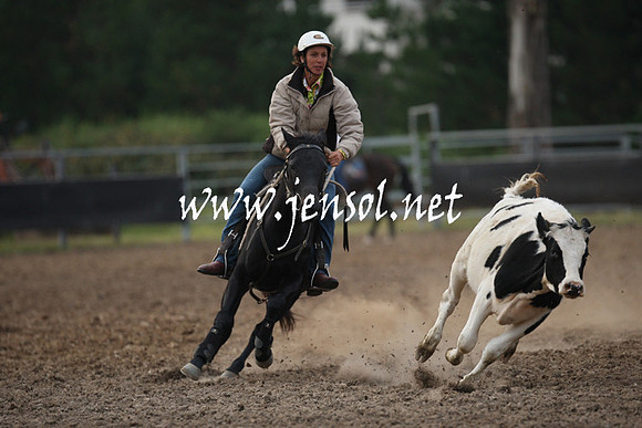 MossValeCampdraft2013_1413