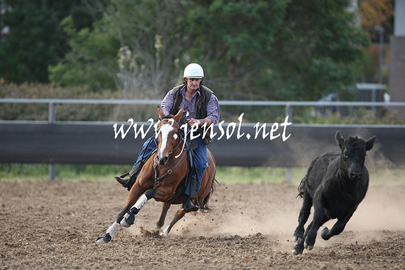 MossValeCampdraft2013_1260