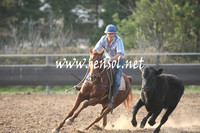 MossValeCampdraft2013_1213