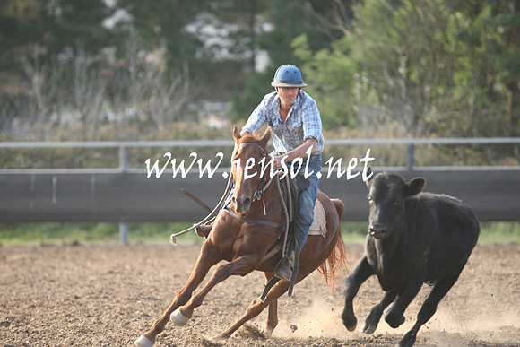 MossValeCampdraft2013_1213