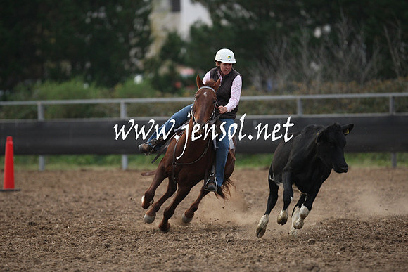 MossValeCampdraft2013_1386