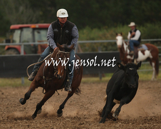 MossValeCampdraft2013_1534