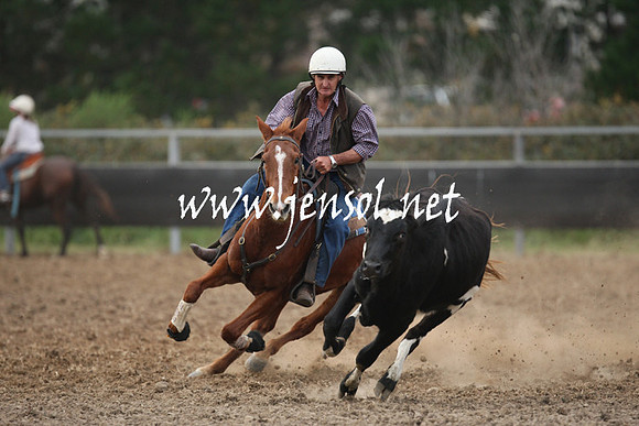 MossValeCampdraft2013_1305