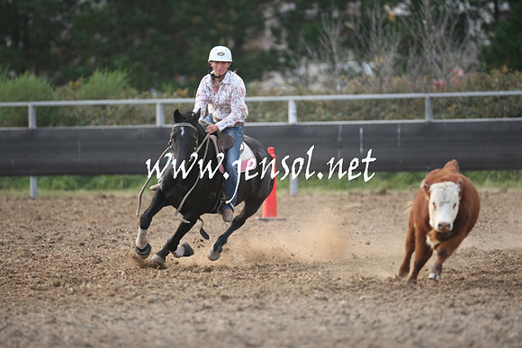 MossValeCampdraft2013_1277
