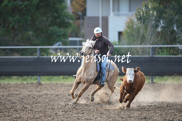 MossValeCampdraft2013_1235