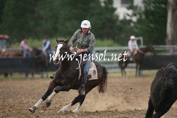 MossValeCampdraft2013_1316