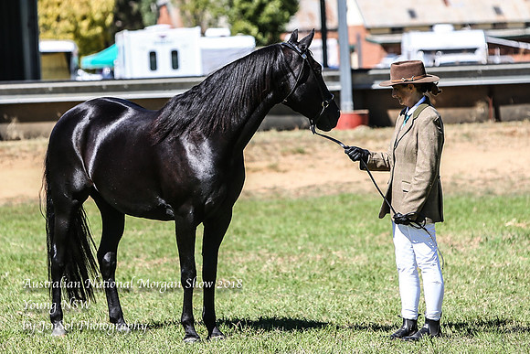 ANMS2018_3009