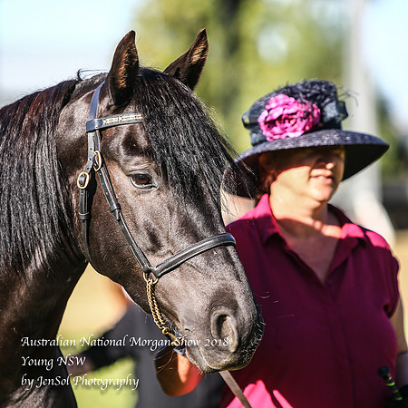 ANMS2018_2484
