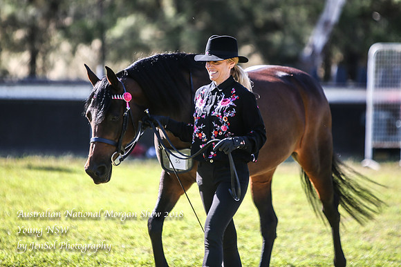 ANMS2018_2764