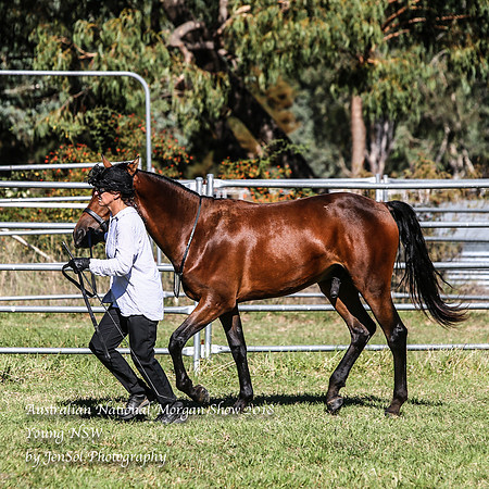 ANMS2018_2831