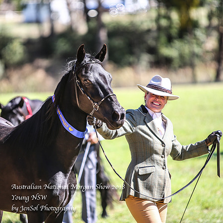 ANMS2018_2992