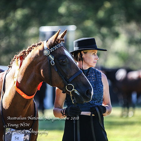 ANMS2018_2581