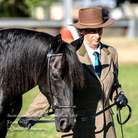 ANMS2018_2491