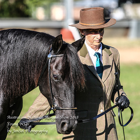 ANMS2018_2491