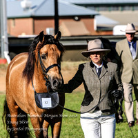 ANMS2018_2497