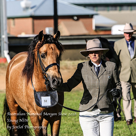 ANMS2018_2497