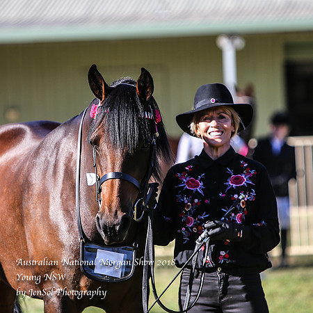 ANMS2018_2607