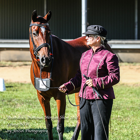 ANMS2018_2691